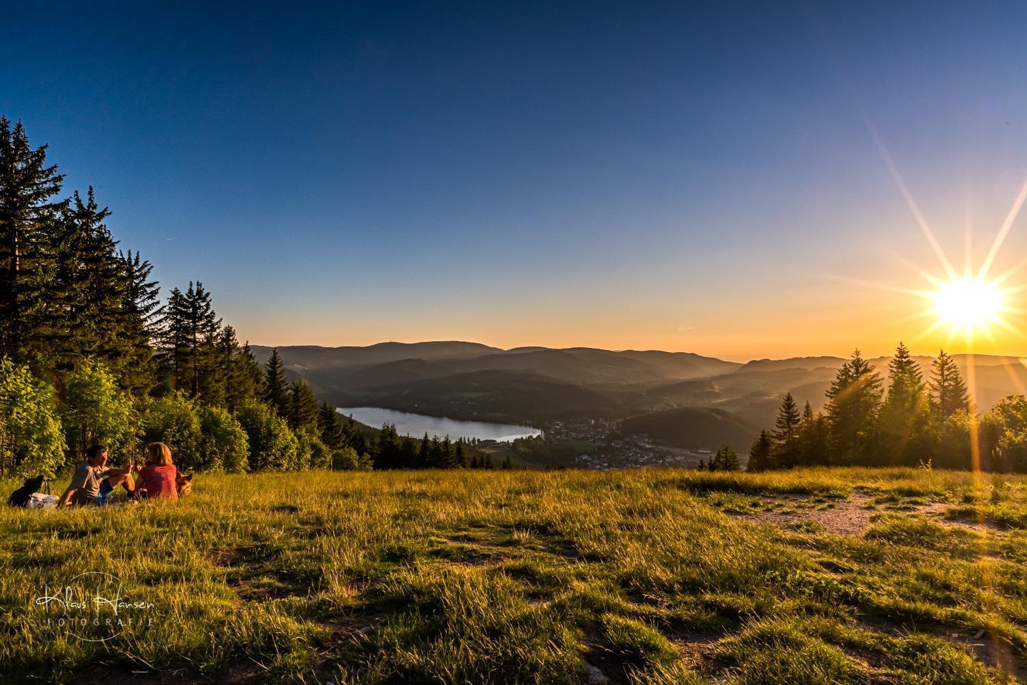 Apartment 13 - Ferienresidenz Roseneck, Mit Schwimmbad In Todtnauberg Bei Feldberg Экстерьер фото